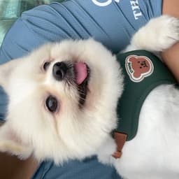 이인표