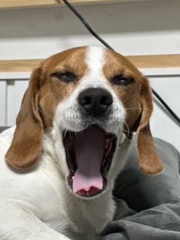 계현